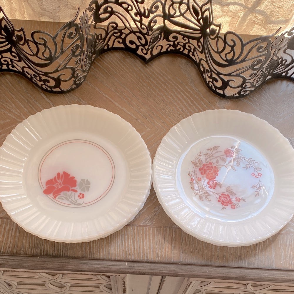 Termocrisa Dinner Plates